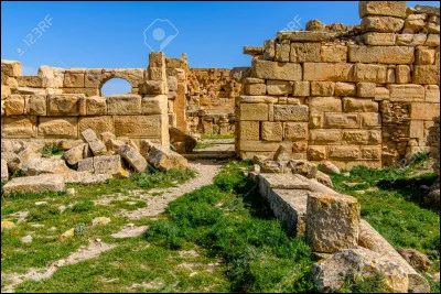 Quelle est la capitale de l'Algérie ?