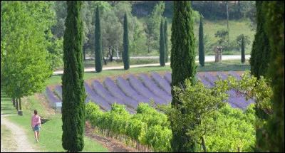 Quelle ville se situe dans le Var ?