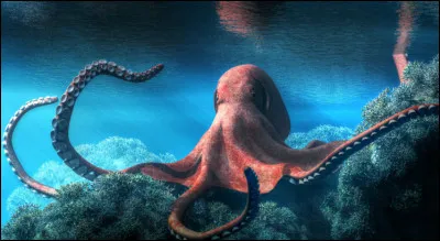 La pieuvre serait-elle également reconnue pour ses aptitudes intellectuelles surprenantes ?