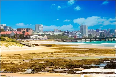 Dans quel pays se trouve la ville de Port Elizabeth ?