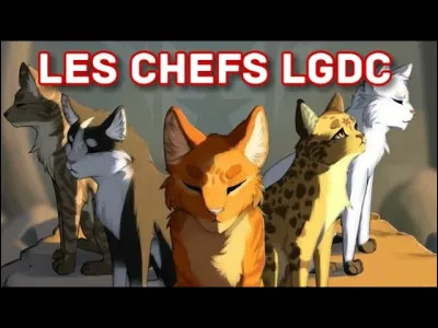 A qui ferais-tu le plus confiance dans LGDC pour remplir ta fiche d'impôt ?