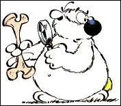 Le cubitus est un os :