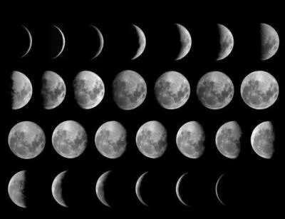 L'anne lunaire est compose de :