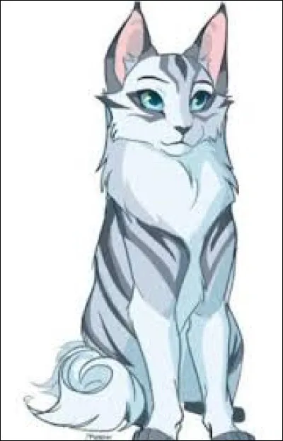 Un jour, tu te promènes dans la forêt et tu vois un chaton de ton clan en danger. Que fais-tu ?