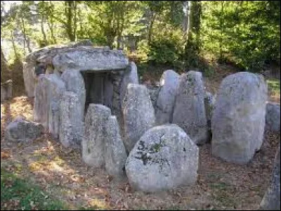 Quel nom porte cet immense dolmen, érigé à Passais, dans l'Orne ?