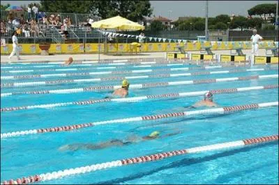 Quelle est la largeur d'une piscine de comptition (Longueur : 50 m) ?