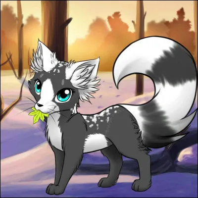 Quel chat préfères-tu ?