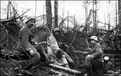 Anciennement, quel oiseau était appelé morbran ?