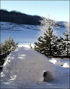 Cette habitation est ...