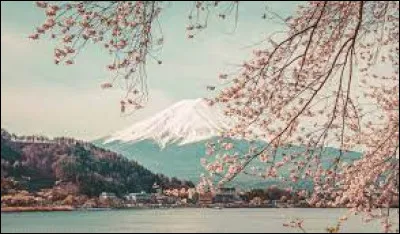 Quel est le plus grand continent du monde (en consid&eacute;rant qu'il y en a 7) ?