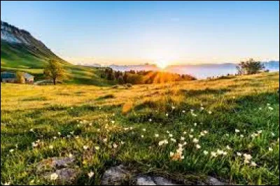 De quelle couleur Barbapapa est-il ?