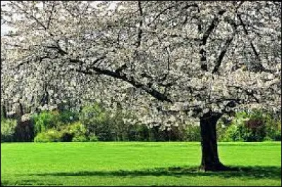 Quel est le pays d'origine du fromage feta ?