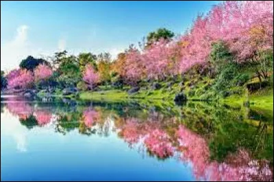 Quel est le symbole chimique du sodium ?