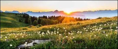 Quel fruit donne, d'après une célèbre expression, le sourire ?