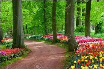 Laquelle de ces stations de train ne se situe pas dans Paris ?