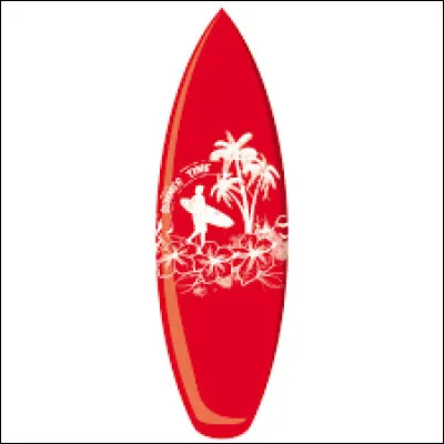 À quel sport correspond cet objet ?