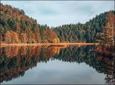 Laquelle de ces chanteuses est québécoise ?