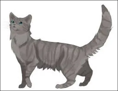 Qui est le compagnon de Cœur Cendré ?