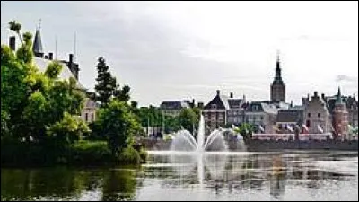 Quel est le gentilé des habitants de La Haye (Pays-Bas) ?