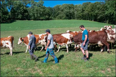 Un documentaire français qui sortira le 31 janvier 2024. Comment s'intitule ce film réalisé par Gilles Perret ?