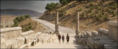 Un drame turque sorti, en France, le 12 juillet 2023. Quel est ce film de Nuri Bilge Ceylan, dans lequel nous voyons Deniz Celiloğlu, Merve Dizdar et Musab Ekici ?