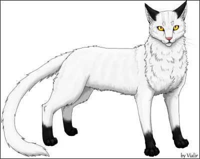 Qui est la compagne d'&Eacute;toile de Jais ?