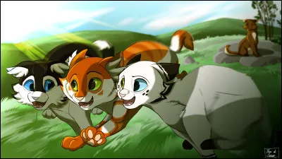 Quels sont les quatre clans principaux ?