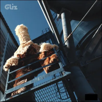 Quels instruments trouve-t-on dans le groupe Gliz ?