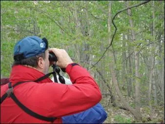 L'ornithologie est l'tude :