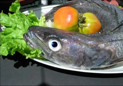 Le colin est le nom donn dans le commerce :