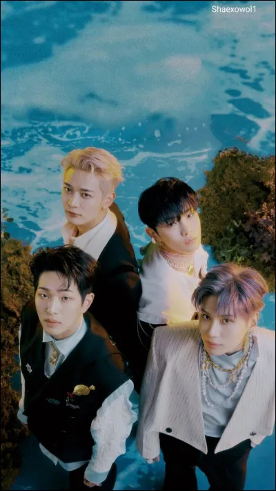 Quel membre est le Visuel du groupe ?