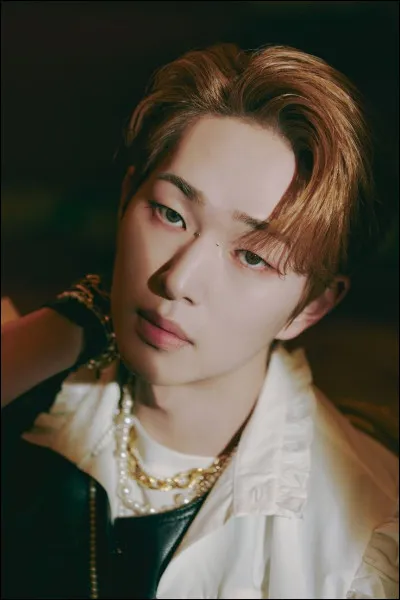 Comment s'appelle ce membre ?