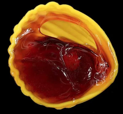 Quelle est cette friandise,un coquillage rempli de sucre cuit coloré et aromatisé ?