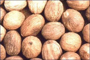 Qu'est-ce que la noix de muscade ?
