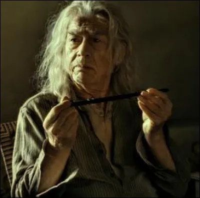 À qui appartiennent les deux baguettes que Harry a récupérées au manoir Malefoy ?