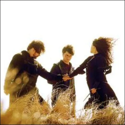 De qui Hermione prend-elle l'apparence ?