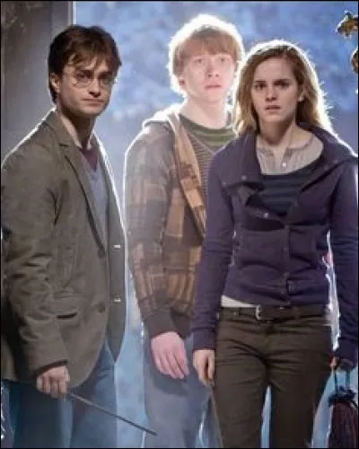 Qui est l'homme chez qui ils sont reçus une fois arrivés à Pré-au-Lard ?