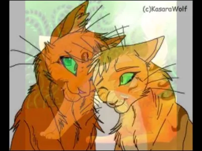 Qui sont ses chatons ?