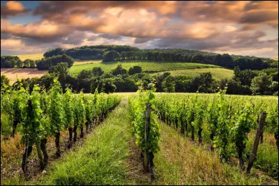 Quel est le nom antique de Bordeaux ?