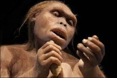 Le 24 novembre 1974, sur les bords de la rivière Awash, une équipe de chercheurs autour d'Yves Coppens découvre Lucy, spécimen fossile de l'espèce éteinte Australopithecus afarensis : dans quel pays Lucy est-elle découverte ?
