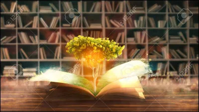 Finalement, tu préfères...