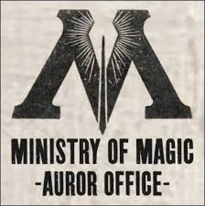 Qui dans le golden trio ne travaille pas dans le domaine des Aurors ?