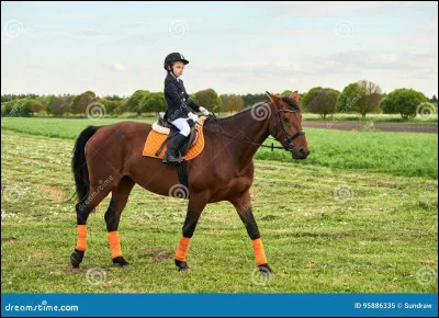 Qu'est-ce que le garrot en équitation ?