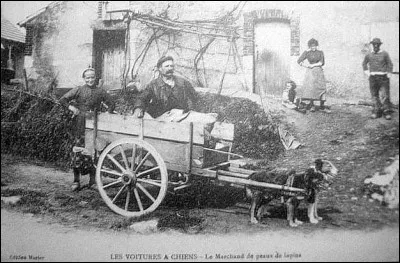 Crieur : Au début du 20e siècle, des colporteurs passaient dans les fermes de campagnes. Que venaient-ils chercher et que criaient-ils pour annoncer leur arrivée ?