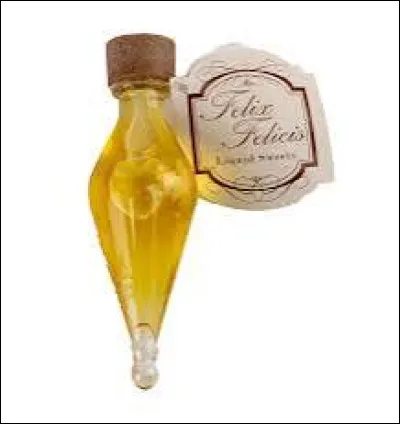 Harry a donné un peu de Felix Felicis à Ron avant son premier match de Quidditch. (6)