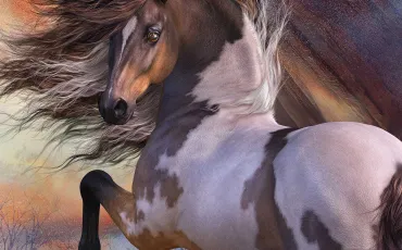 Quiz Animaux