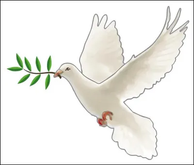 Pour toi, le plus important cest :