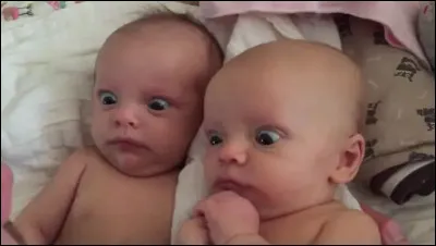 Fichtre...vous nous voyez pantois ! Mais encore ?