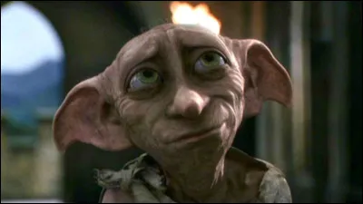 Quel est le nom complet du personnage surnommé "Dobby" ?