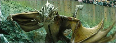 Comment s'appelle le dragon que Harry affronte dans le Tournoi des Trois Sorciers ?